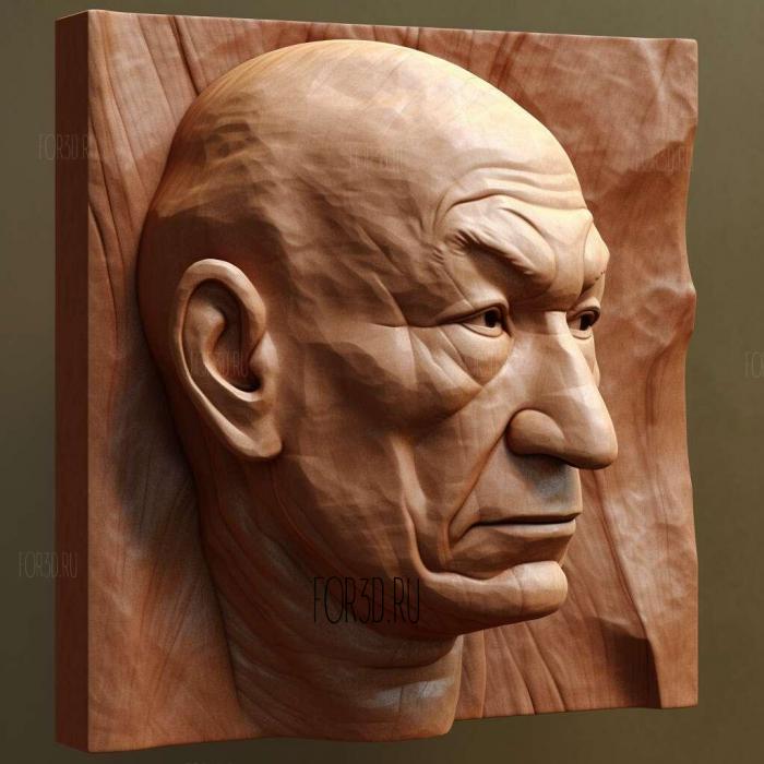 luc picard 2 stl model for CNC
